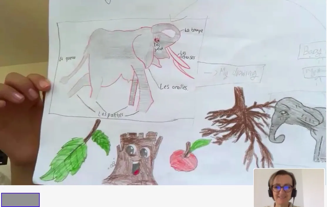 Bilingualism allows children to develop strategies to communicate by talking, drawing or using code-switching.