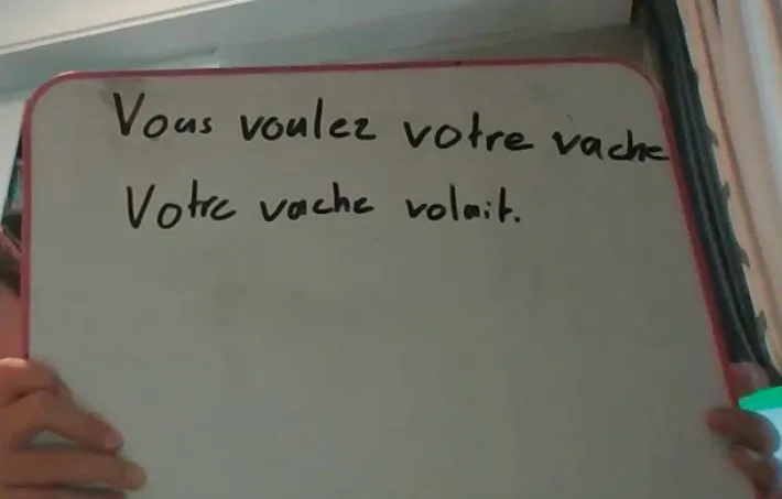 Difficulties in French for bilingual child